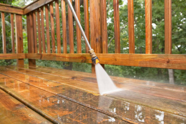 Best Roof Pressure Washing  in North Arlington, NJ