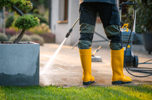 Best House Pressure Washing  in North Arlington, NJ